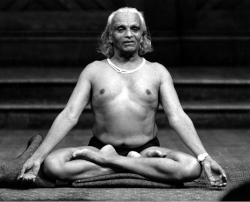 ¿Qué es yoga iyengar?